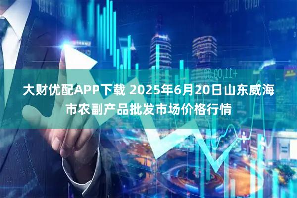 大财优配APP下载 2025年6月20日山东威海市农副产品批发市场价格行情