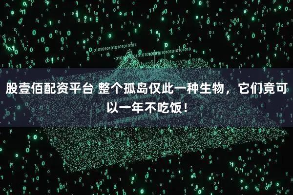 股壹佰配资平台 整个孤岛仅此一种生物，它们竟可以一年不吃饭！